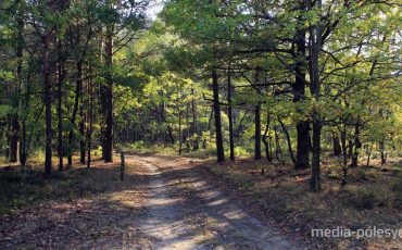 Снимок носит иллюстративный характер
