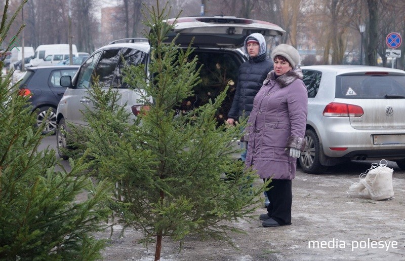 Снимок носит иллюстративный характер / Фото из архива Медиа-Полесья