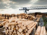 Фото используется в качестве иллюстрации