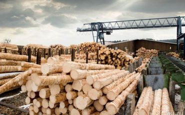 Фото используется в качестве иллюстрации