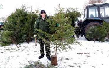 Фото иллюстрационное