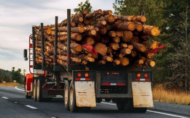Фото использовано в качестве иллюстрации, pinterest.ru