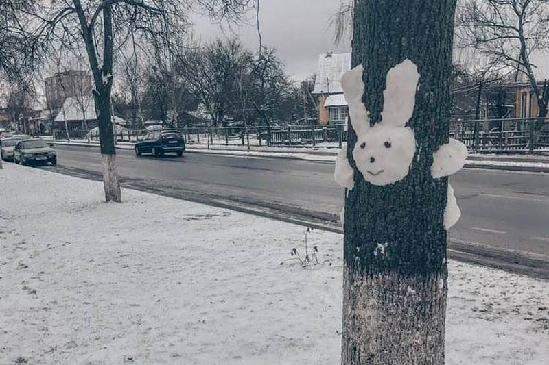 Снежный заяц прилетел @nastya_makovskaya