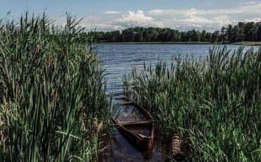 Наша Радзіма @fadeevegor