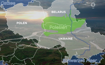 Кадр из видео сюжета