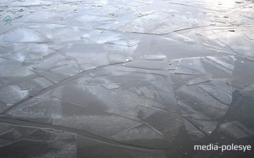 Снимок носит иллюстративный характер / Фото из архива Медиа-Полесья