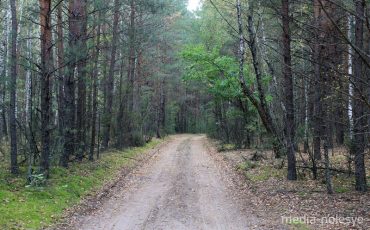 Снимок носит иллюстративный характер / Фото из архива Медиа-Полесья