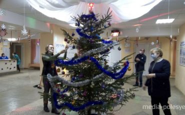 В Лунинской школе украшают ёлку, подаренную Лунинским лесничеством / Фото Сергея Курака