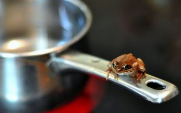 Снимок носит иллюстративный характер / Фото: ru.wikipedia.org