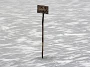 Снимок носит иллюстративный характер / Фото из архива Медиа-Полесья