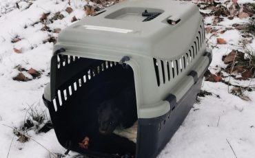 Фото Пинского райисполкома из ВК