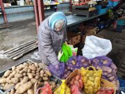 Фото использовано в качестве иллюстрации