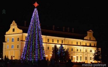 Снимок носит иллюстративный характер / Фото из архива Медиа-Полесья