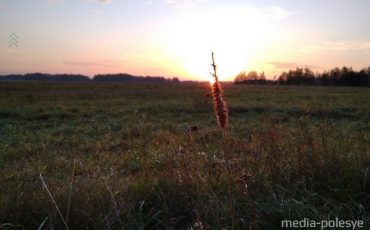 Снимок носит иллюстративный характер