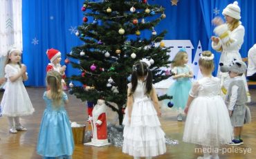 Снимок носит иллюстративный характер / Фото из архива Медиа-Полесья