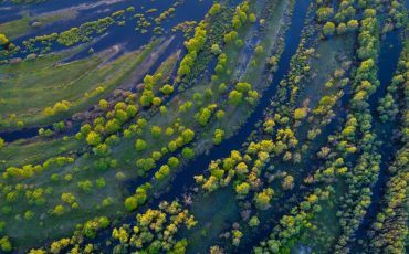 Виктор Малышчиц