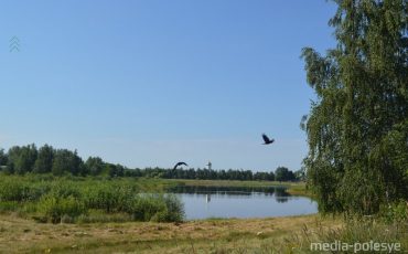 Фото использовано в качестве иллюстрации, из архива МП