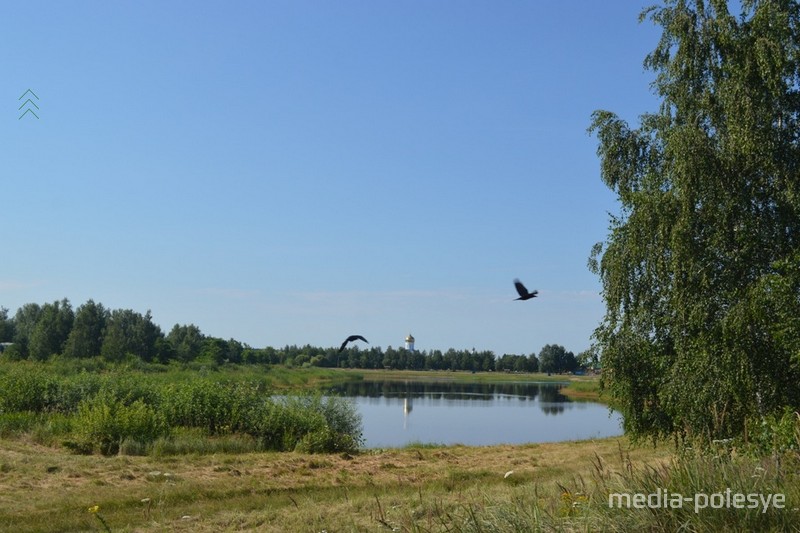 Фото использовано в качестве иллюстрации, из архива МП