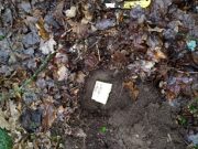 Фото УСК по Брестской области