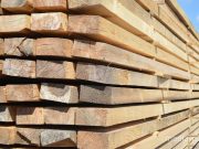 Снимок носит иллюстративный характер / Фото из архива Медиа-Полесья