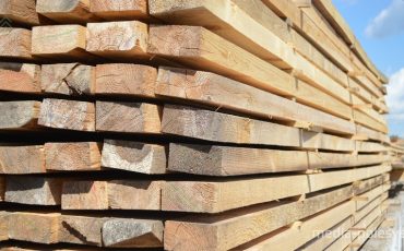 Снимок носит иллюстративный характер / Фото из архива Медиа-Полесья