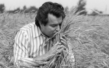 Председатель колхоза имени М. Горького Василий Горошко на хлебном поле. Фото РИА Новости