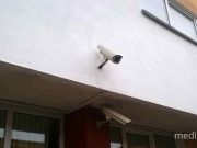 Снимок носит иллюстративный характер