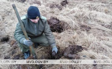 В январе 2020 года 260 снарядов, гранат и мин нашли под Пинском / Фото: БелТА