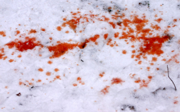 Фото: naviny.media