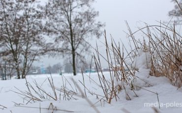 Снимок носит иллюстративный характер