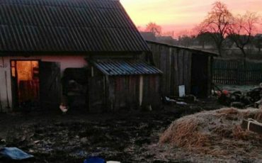 Фото: Телеграм-канал Следственного комитета Беларуси