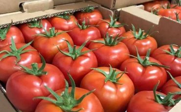 Снимок носит иллюстративный характер / Фото: minsk.flagma.by