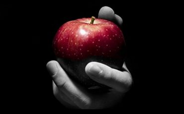 Снимок носит иллюстративный характер / Фото: cluber.com.ua