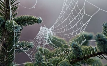 Снимок носит иллюстративный характер / Фото: ТАСС