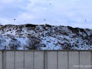 Фото использовано в качестве иллюстрации, из архива МП