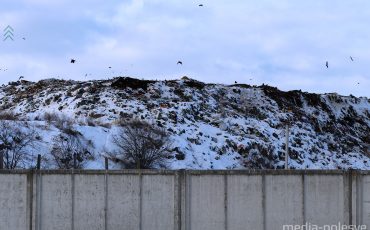 Фото использовано в качестве иллюстрации, из архива МП