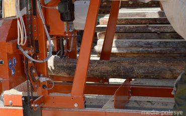 Снимок носит иллюстративный характер / Фото из архива Медиа-Полесья