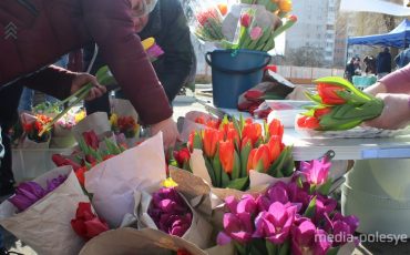 Снимок носит иллюстративный характер