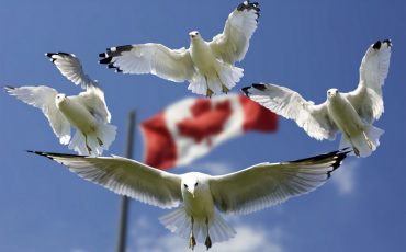 Снимок носит иллюстративный характер / Фото: pixabay.com