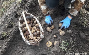 Фото использовано в качестве иллюстрации