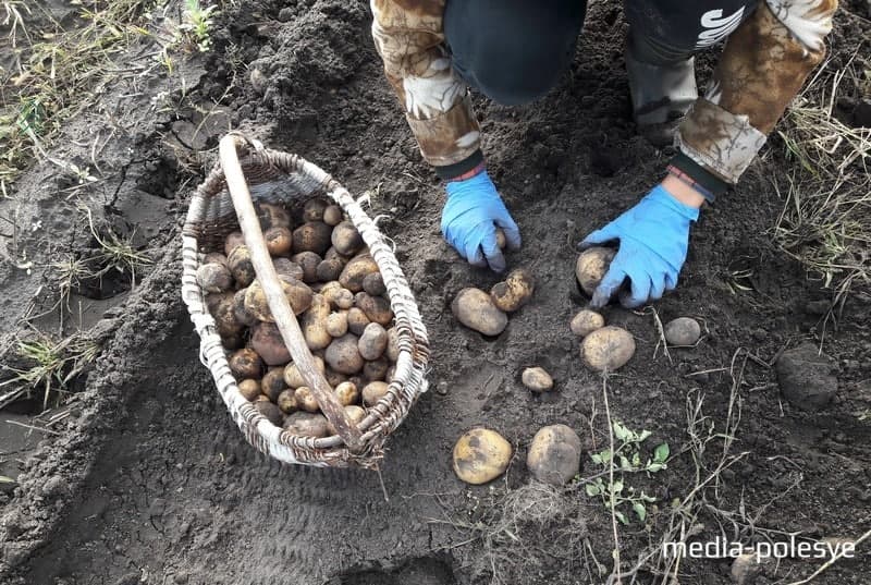 Фото использовано в качестве иллюстрации