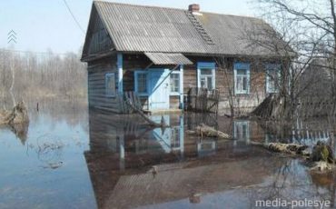 Фото из архива МП