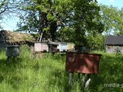 Фото иллюстративное