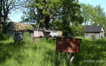 Фото иллюстративное