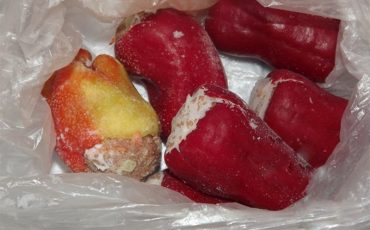 Фото используется в качестве иллюстрации, sdelai-lestnicu.ru