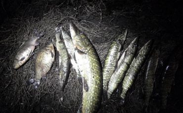 Фото используется в качестве иллюстрации, manrule.ru