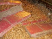 Фото: vid.gov.lv