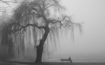 Снимок носит иллюстративный характер / Фото: s13.ru