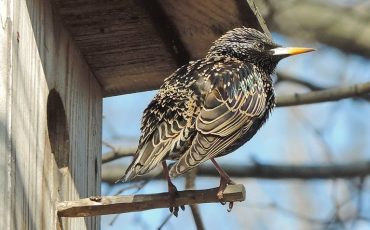 Фото иллюстративное fotokto.ru