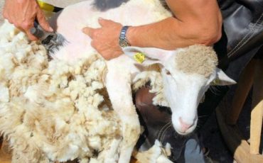 Снимок носит иллюстративный характер / Фото: scarers.ru